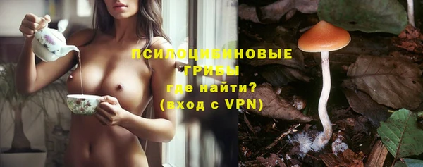 метадон Ельня
