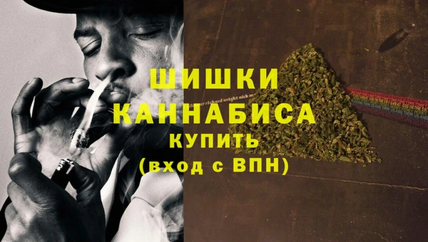 метадон Ельня